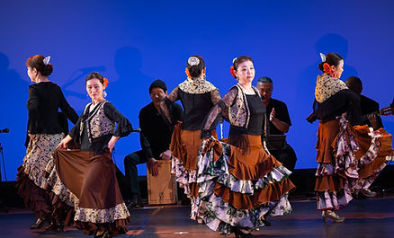 flamenco-v.jpg