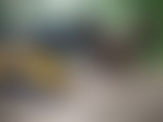 heavy duty single-lid grapple