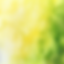 lime yellow background.png