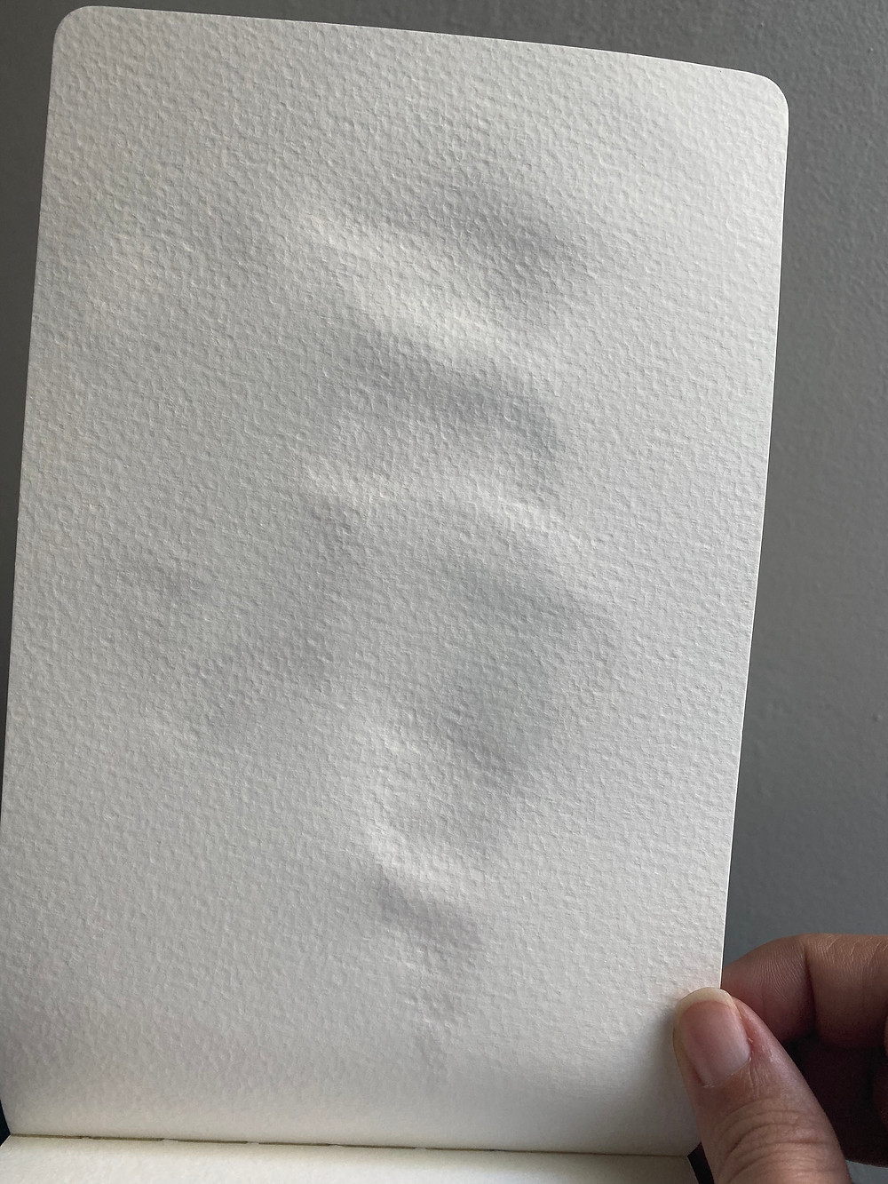 Moleskine watercolor sketchbooks