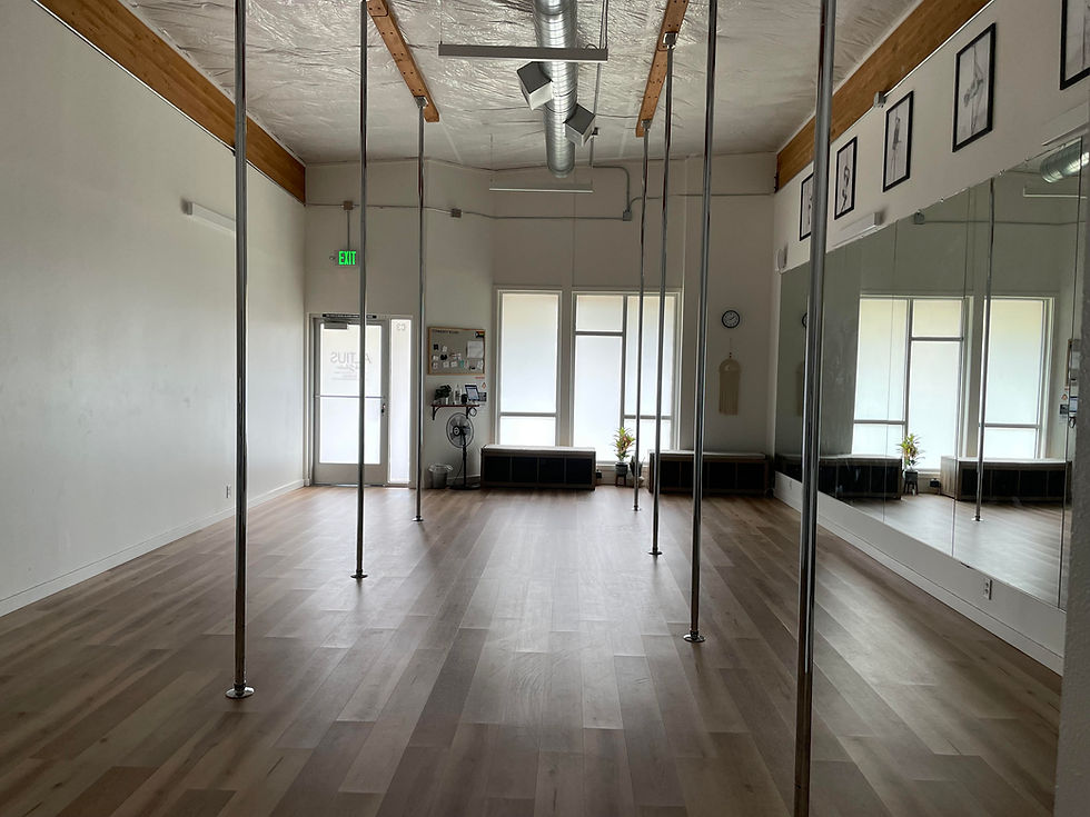 How Pole Changed My Life, and Started Altius