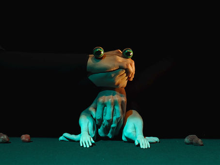 Theatre REVIEW: Hopeful Monsters - ★★★★★