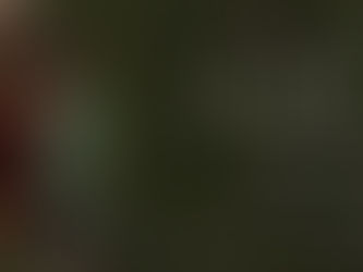 Film REVIEW: Hamnet (2025) - ★★★★★