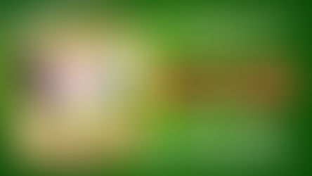 Theatre REVIEW: Jack and the Beanstalk - ★★★★★