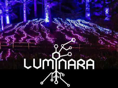 Event REVIEW: The Enchanted Forest - ★★★★★