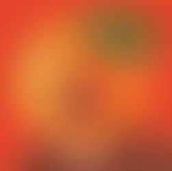 Fringe REVIEW: Olaf Falafel Asks: Orange You Glad? - ★★★★