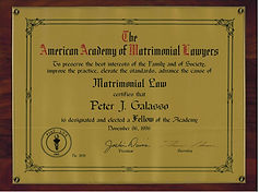 The American Academy of Matrimonial Lawyers