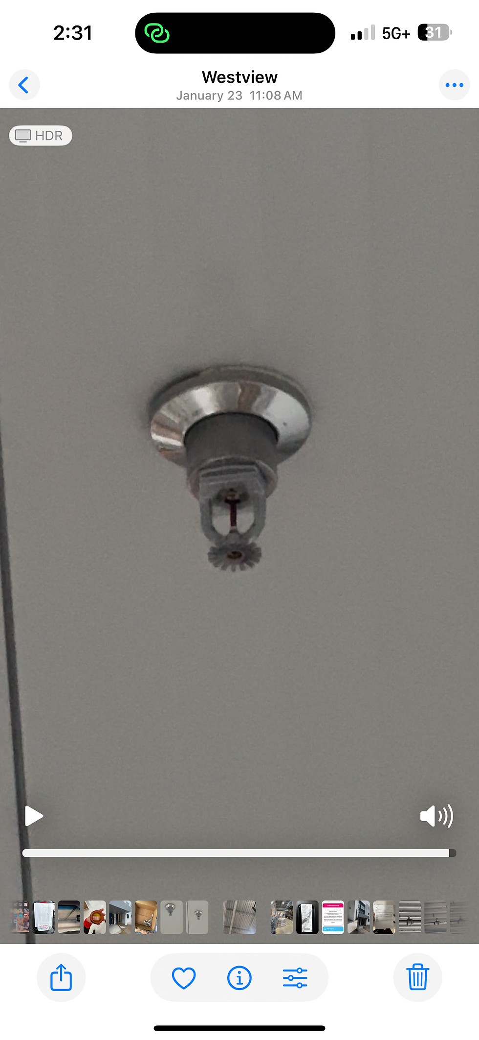 Fire sprinkler head close-up on ceiling