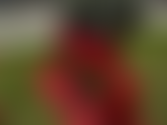 The Importance of Regular Backflow Testing