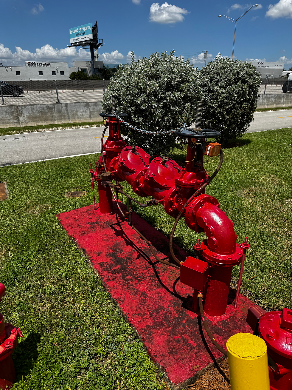 Backflow prevention device on water pipe