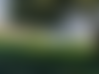 Kemp Town Enclosures: South Garden Open Garden 25th May 12pm-5pm