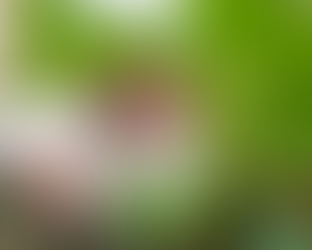 Brighton & Hove's Ageing Well Festival 29th September - 13th October