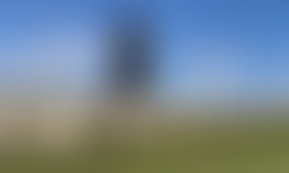 Sheep arrive at Beacon Hill Nature Reserve