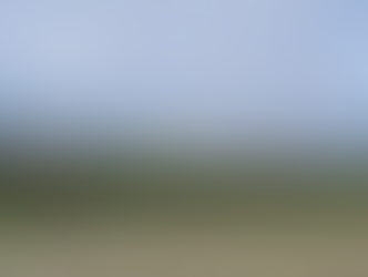 Climate change and climate action in Newhaven and Peacehaven: complete the survey