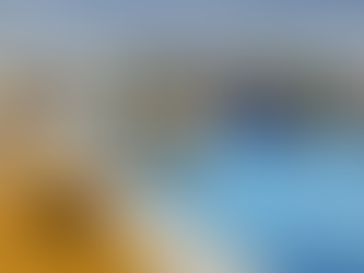 Dogtember at Saltdean Lido