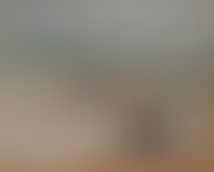 Exhibition of paintings by Edith Emma Martin at the Grange