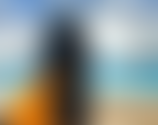 Saltdean Lido Dogtember Begins 9/10th September