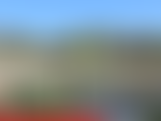 Help Drove Park Open Day in Newhaven 10th September