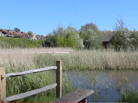 Help Drove Park Open Day in Newhaven 10th September