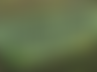 Ovingdean Green Fair and repair cafe 1 Oct