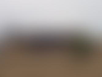 Ovingdean Beach Clean Feb 6th 11-12.30