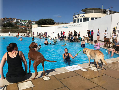 Saltdean Lido Dog Swim 2021