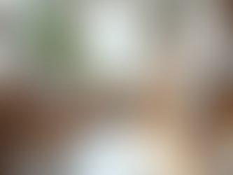 Explore Beginner-Friendly Art Classes in Ireland