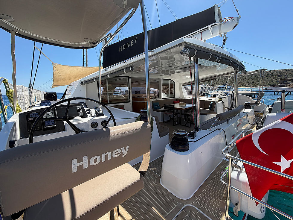 Catamaran Nautitech 542