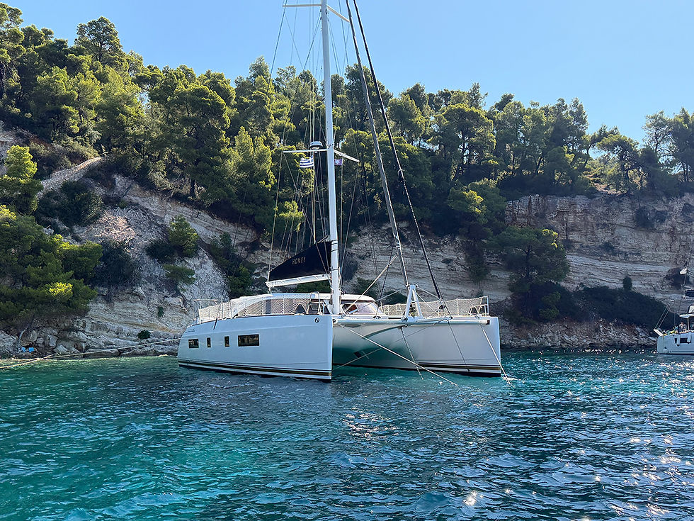 Catamaran Nautitech 542 for sale