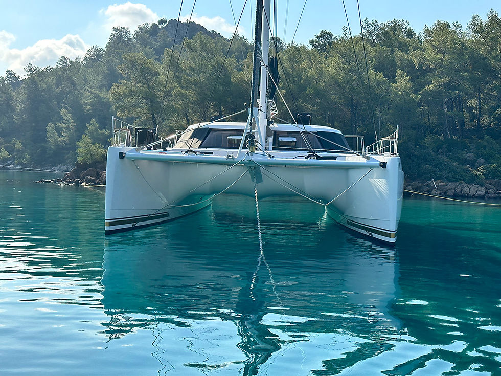 Catamaran Nautitech 542