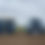 Thumbnail: Brassica planter