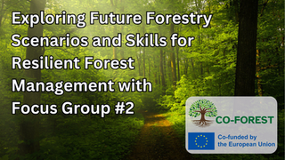 Exploring Future Forestry Scenarios and Skills for Resilient Forest Management with Focus Group #2