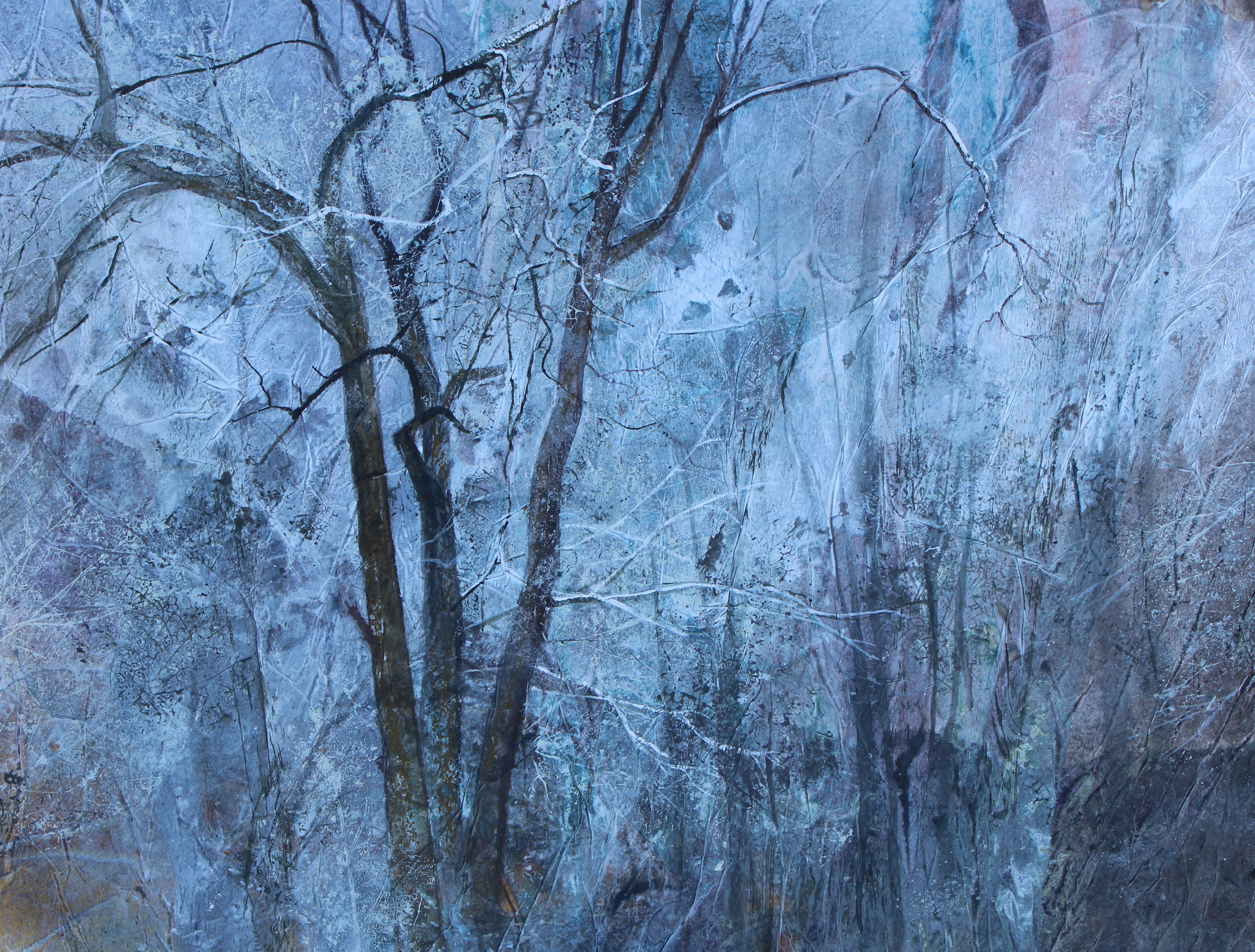 December Woods