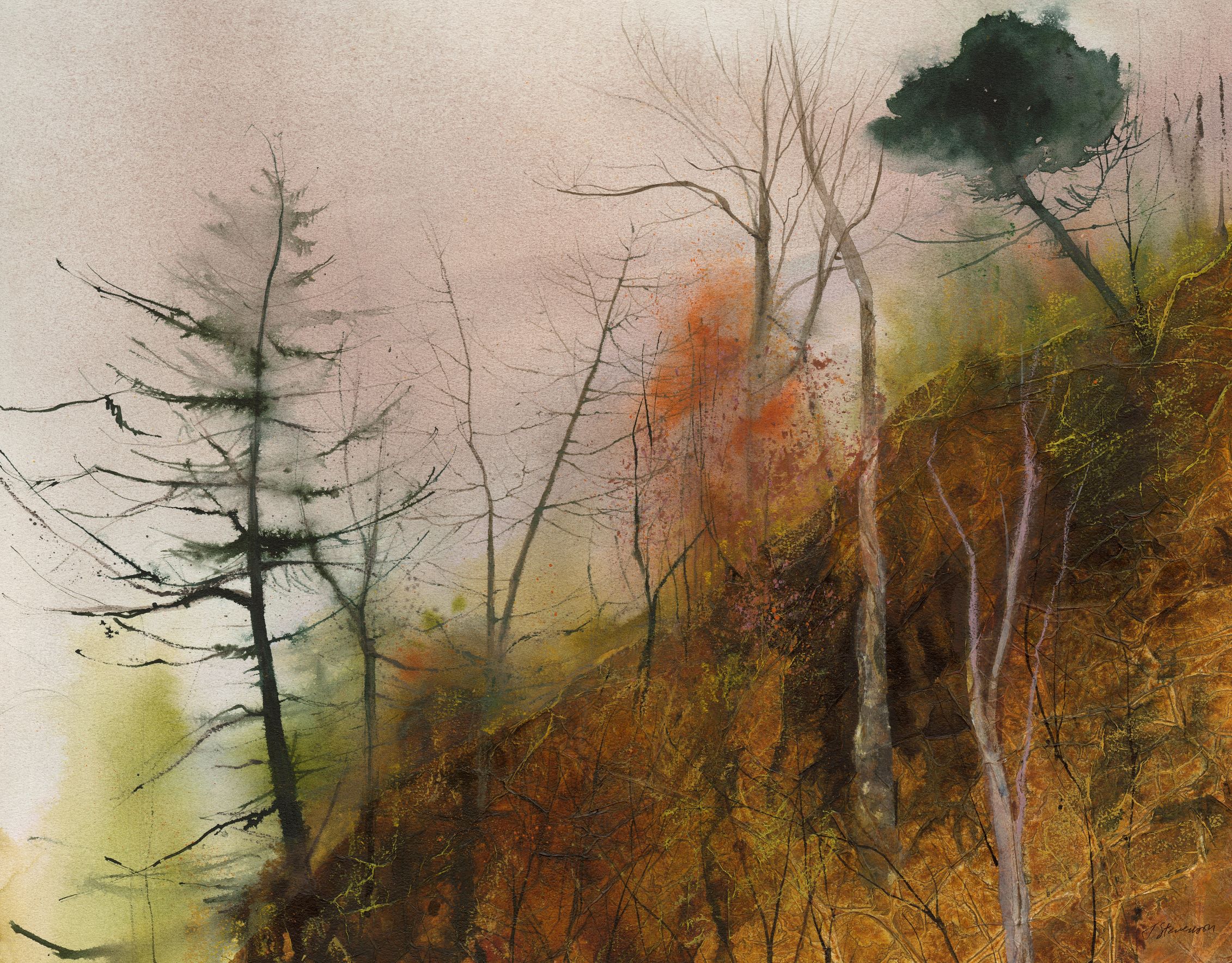 Steep Hillside