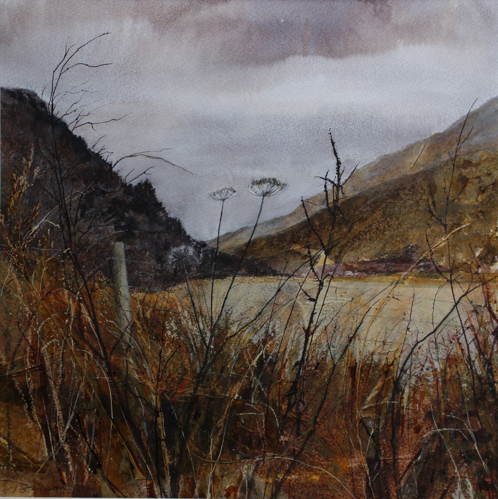 October Grasses