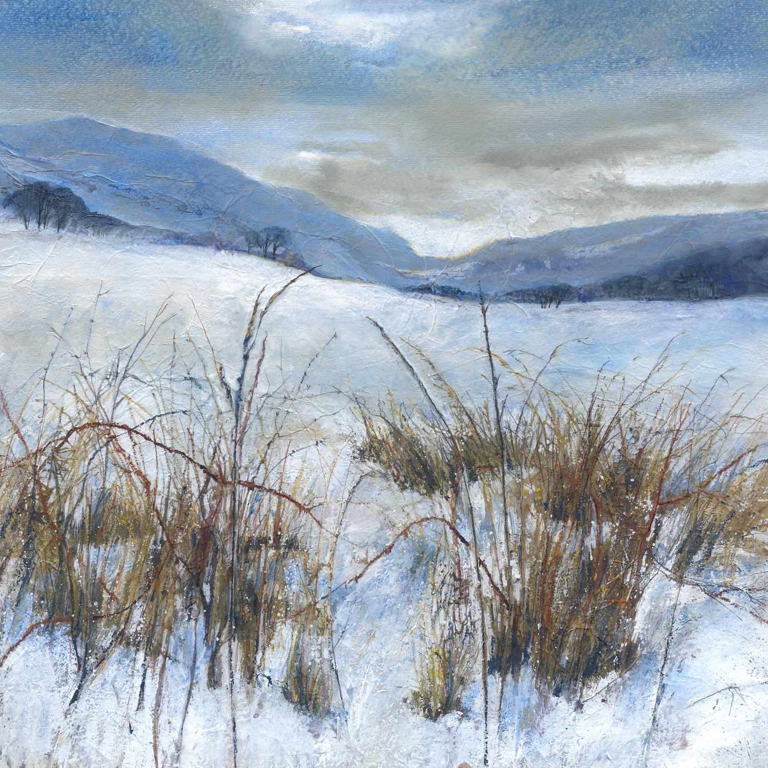 Border Hills, Winter