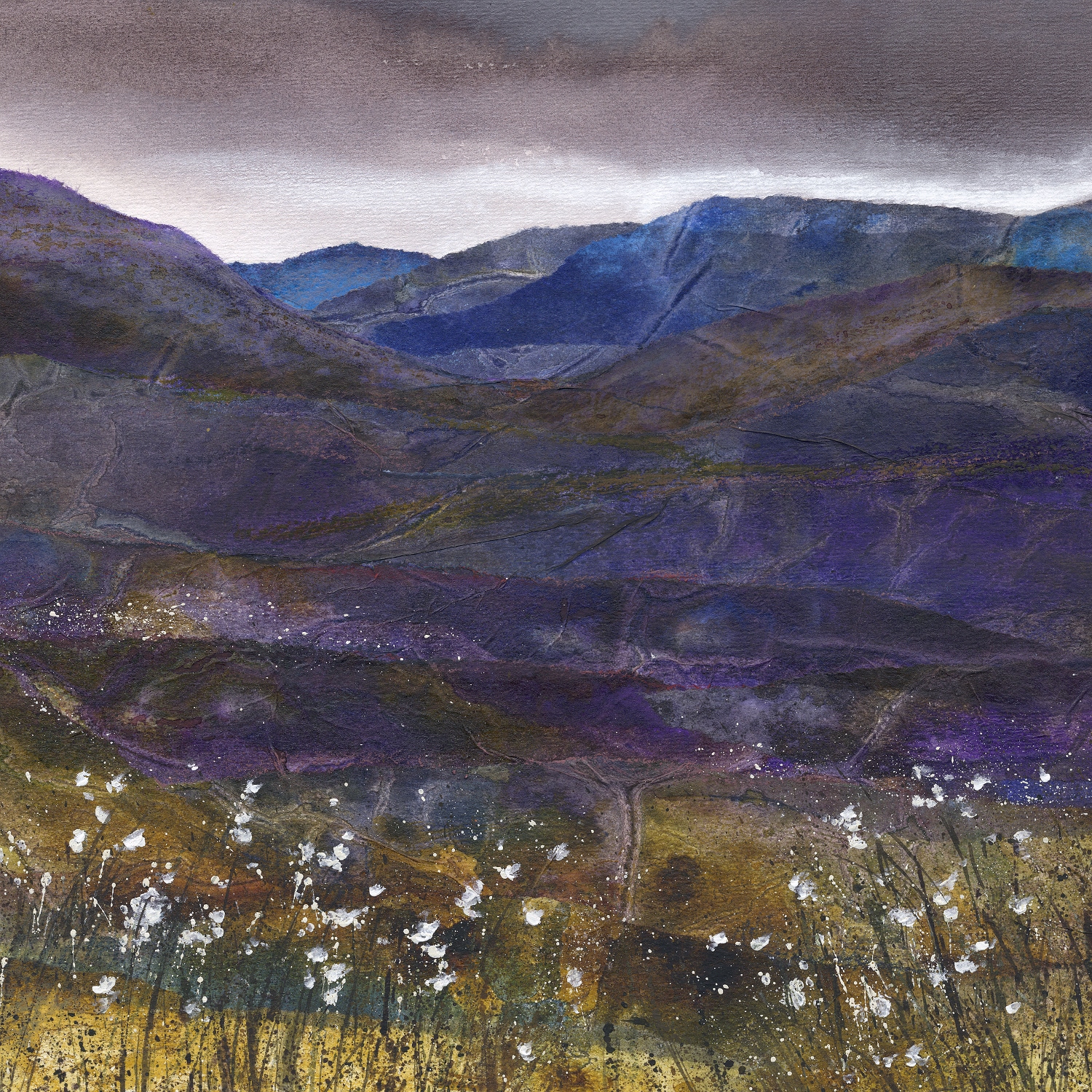 Cotton Grass 2