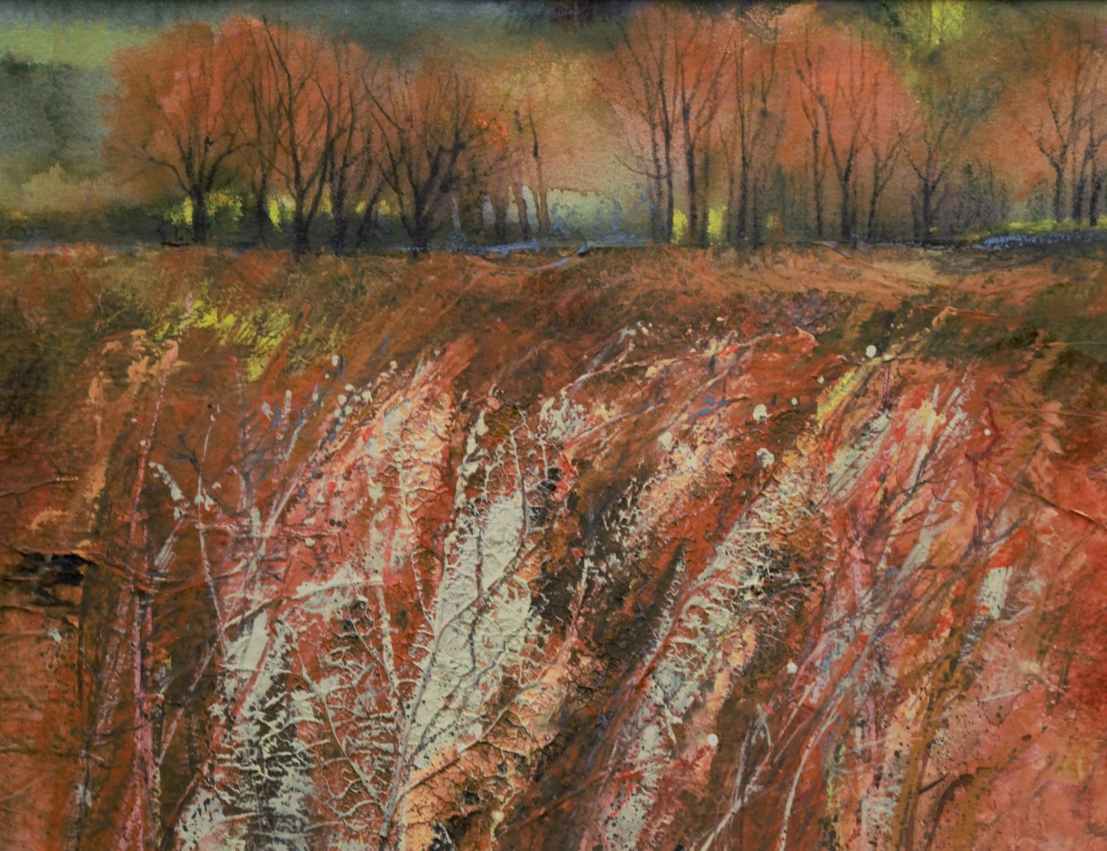 Autumn Field