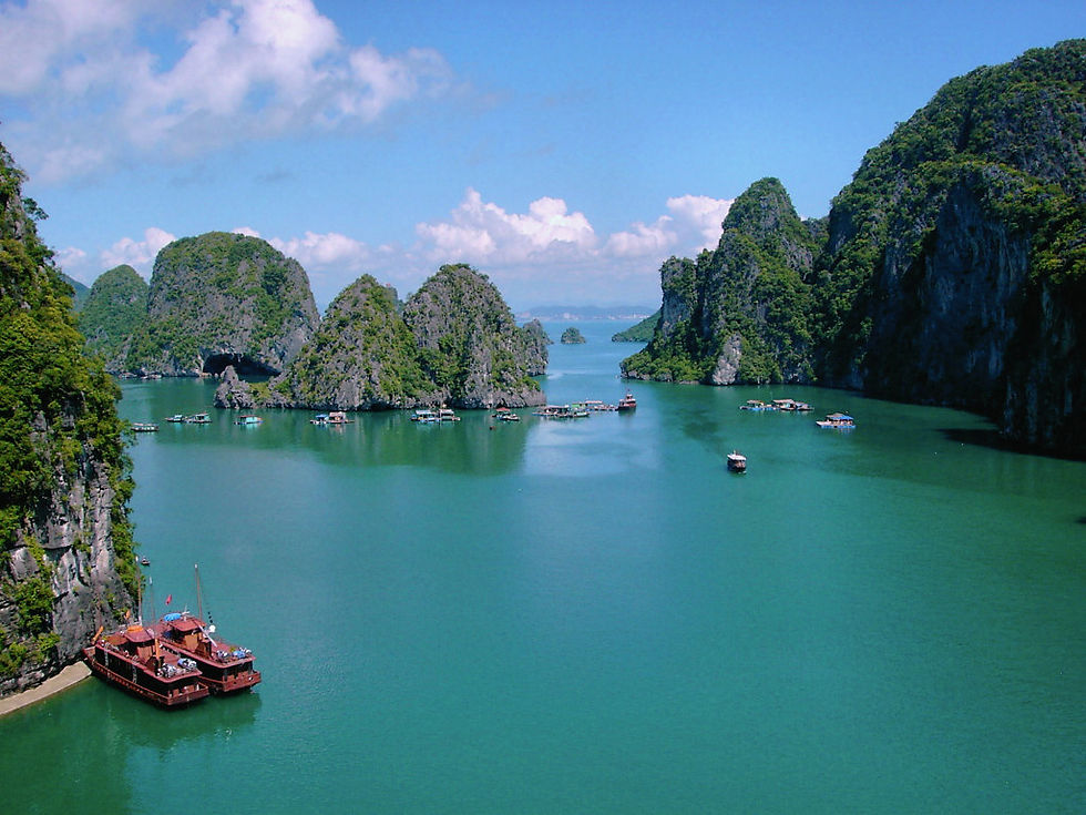 11. dgitravel.vn