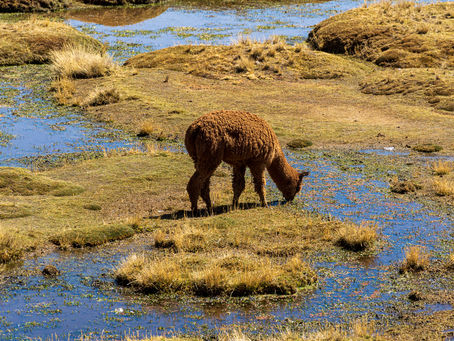 Peru at a glance
