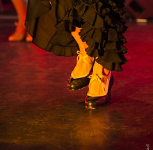 Flamenco_web_79_IMG_8657_-_jeremie_wach-chastel.jpg
