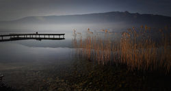 plenitude-6f866569-f414-46cc-89a4-3c6738512f60