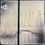 Thumbnail: Cypress GhostTriptych