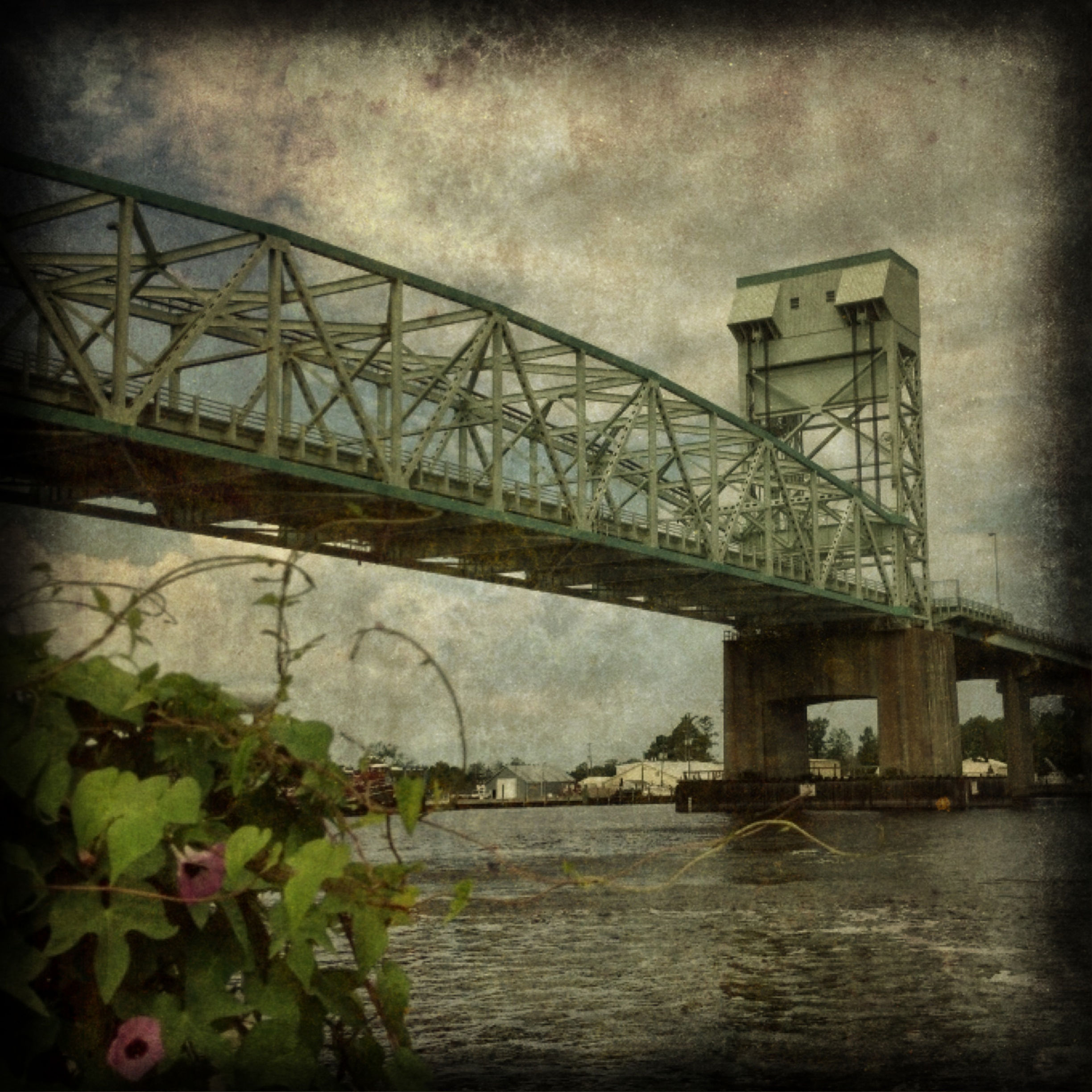 Cape Fear Morning Glory Aluminum Float