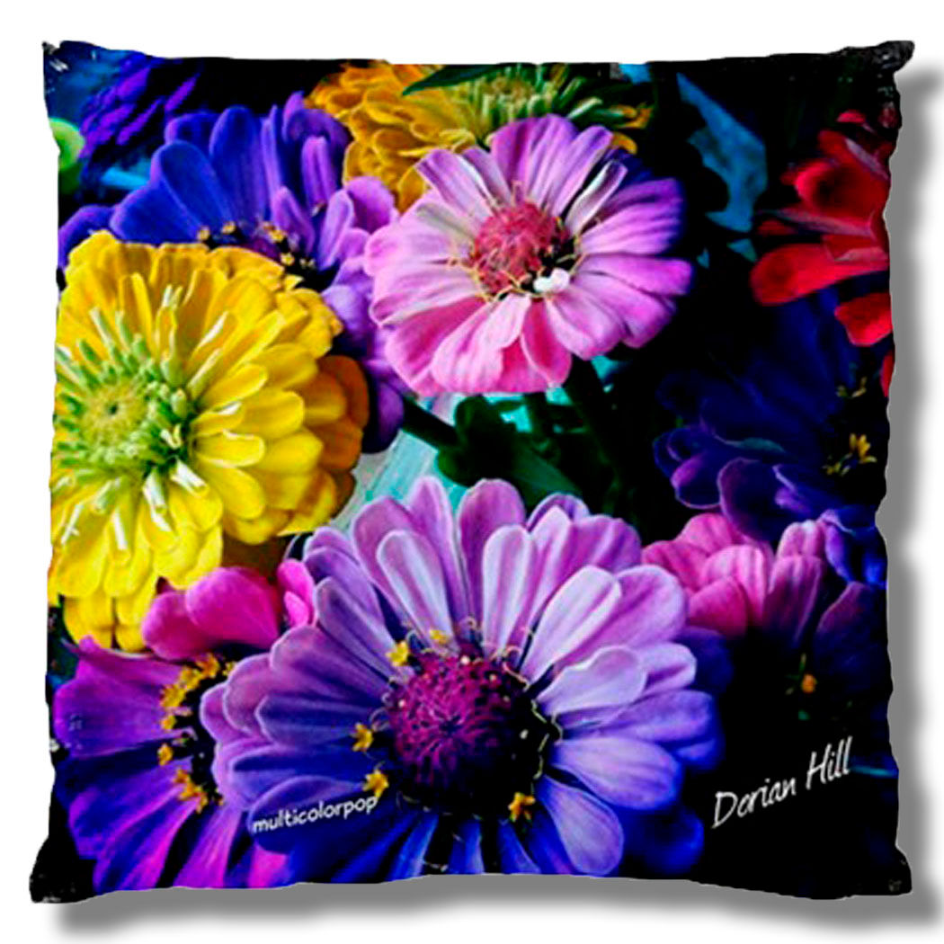 Multicolor Pop Cushion Case