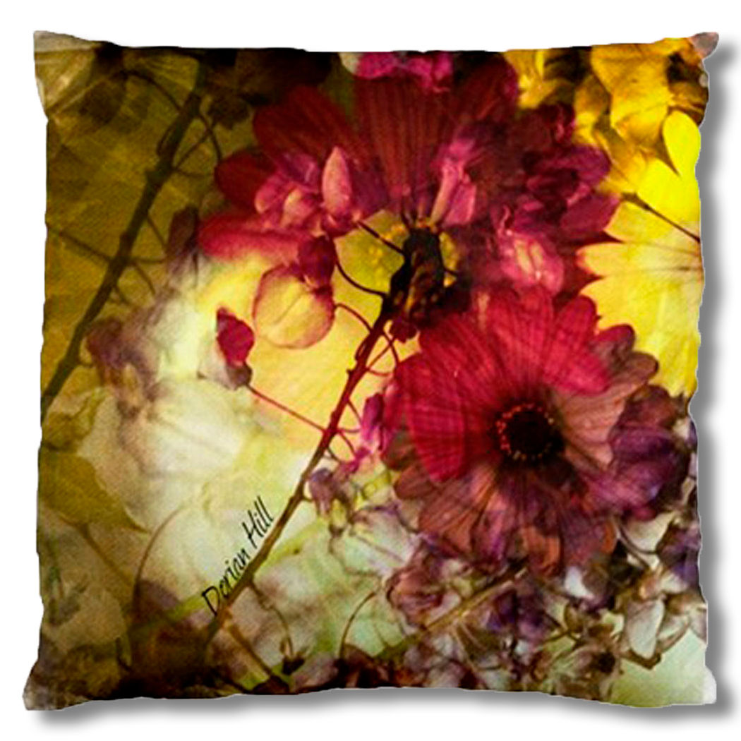 Haizy Daizy Cushion Case