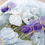 Thumbnail: B2367 Irises - Cross Stitch Kit Luca-S