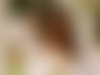 Miranda | Grier Senior Portraits