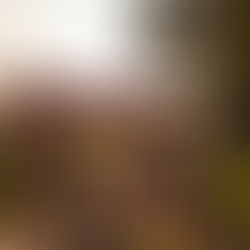 June 2023 Photo Journal