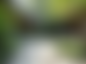 Ideas de paisajismo para espacios de bienestar